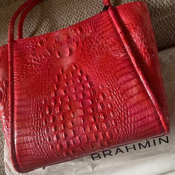 The love of a Bold Brahmin! A gorgeous coral bag, Wow! - Picture 12 of 13